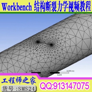 ANSYS Workbench 结构断裂力学数值模拟技术视频教程